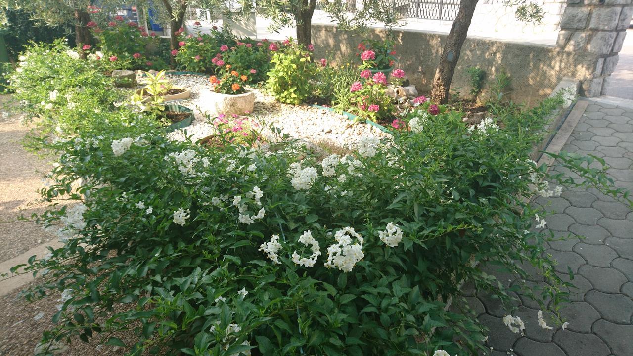 Dario Apartament *