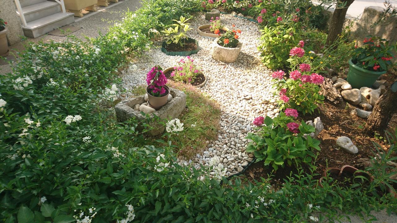 Apartament Dario *